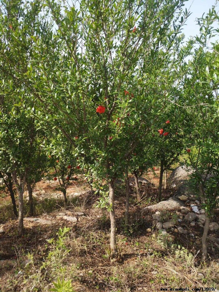 1686321137304859.jpg 22064c52d7a4508c04d335e811490553_1686321011644753.jpg