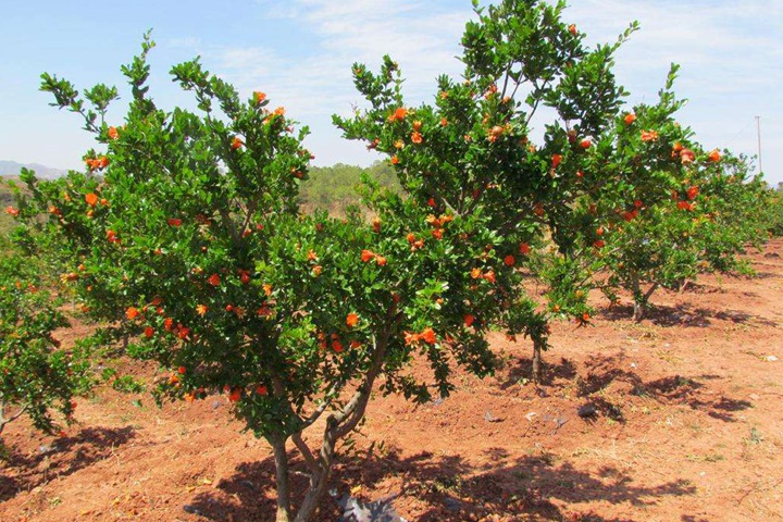 1686321144505007.jpg 563b68a1d8f1576db065a78c763a6320_1686321020627572.jpg