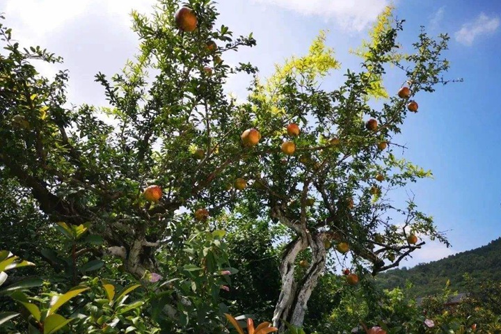 1686321151670142.jpg 55fdde1cf1c018817563cb183021ce98_1686321027292451.jpg