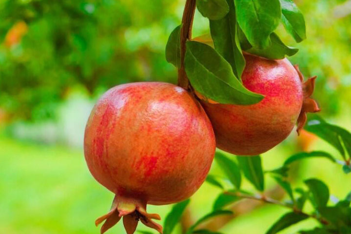 1686321157601192.jpg f8eead6b8f89447aff5176d7e1a50b17_1686321100917418.jpg