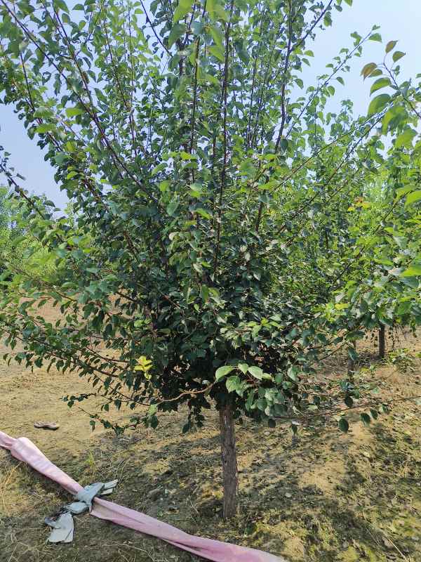 1732253839520002.jpg IMG_20230831_132102.jpg